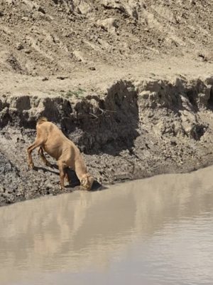 desertificacao2