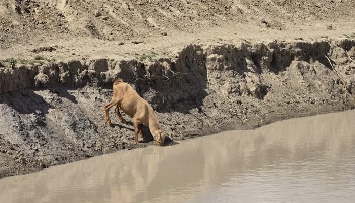 desertificacao2