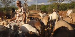 cabras-042