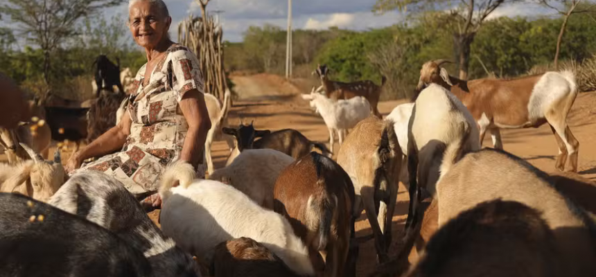 cabras-042