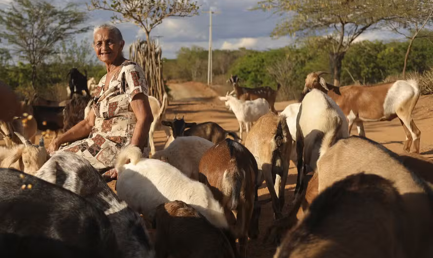 cabras-042