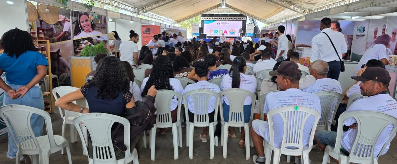 whatsapp-image-2025-08-04-at-13-16-52