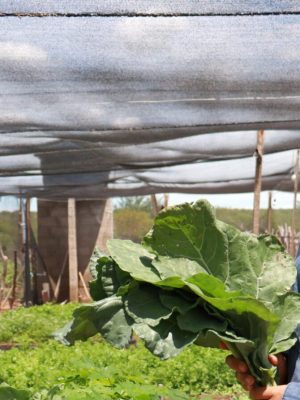 agricultora-remanso-2048x893