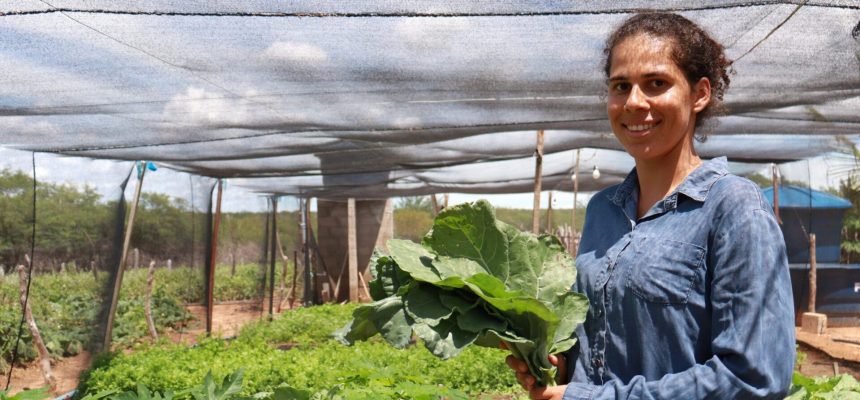 agricultora-remanso-2048x893